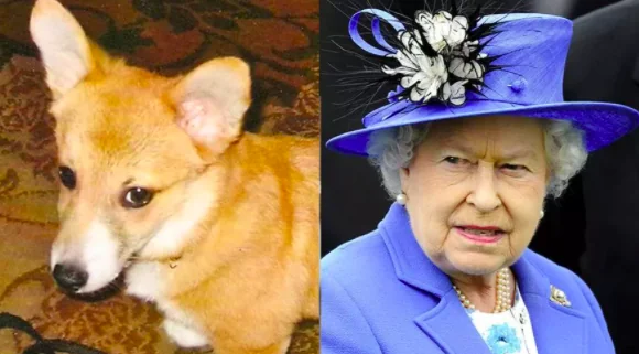 La regina dice addio a Fergus